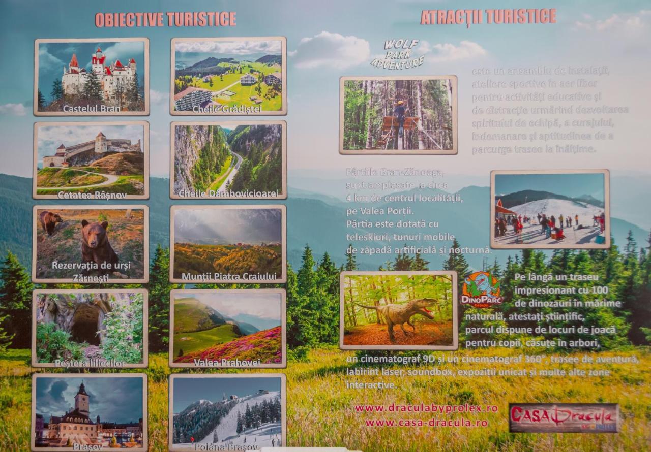 Prolex Turism Srl Hotel Bran  Buitenkant foto